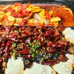 四川萬州烤魚技術(shù)培訓(xùn)